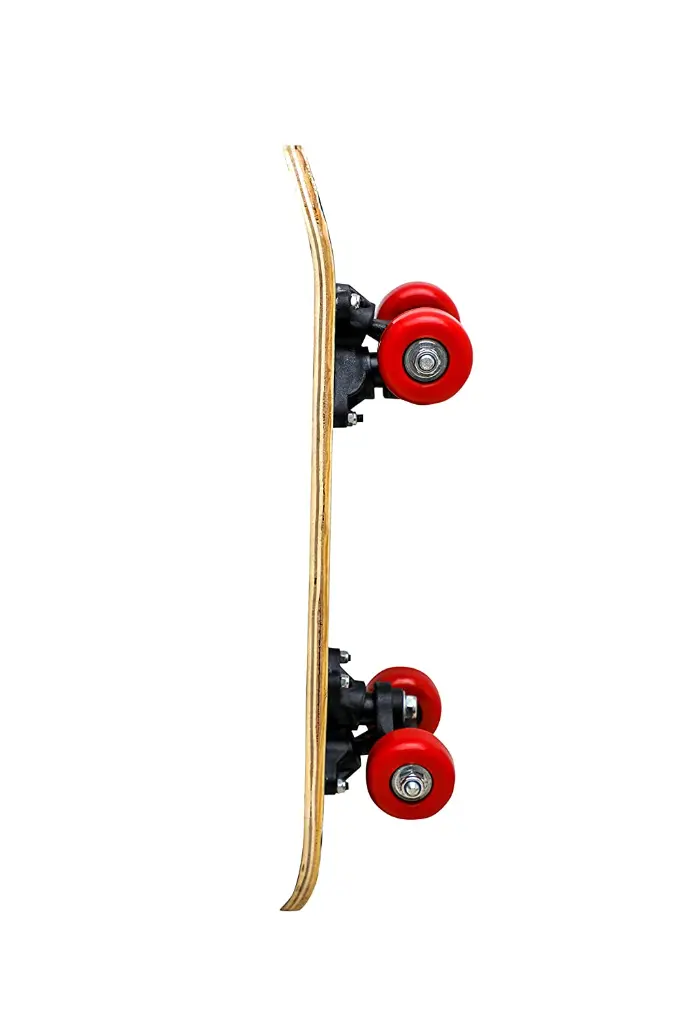 61CL98g3hTL._SL1500_.webp